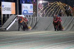 スーパーチヨコ(右)を追いかけるミュウ(左)