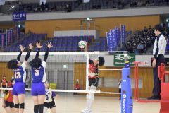 【1回戦・帯南商―東海大札幌】ストレートとクロスを正確に打ち分ける帯南商の矢萩梨花(右奥)